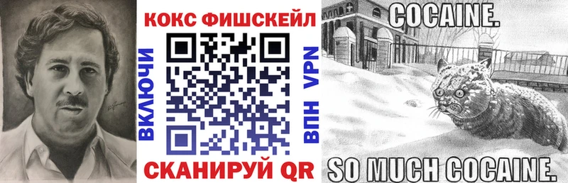 купить наркотики цена  Юрга  COCAIN Fish Scale 