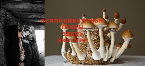 каннабис Гусев