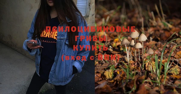 не бодяженный Гусь-Хрустальный