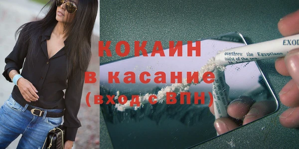 гидра Усмань
