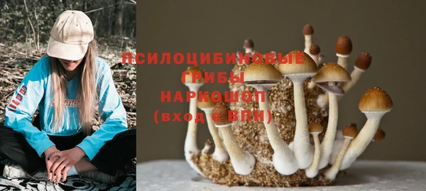 не бодяженный Гусь-Хрустальный