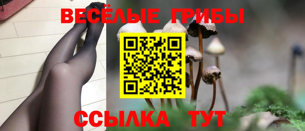Юрга  Галлюциногенные грибы Cubensis  Вход с VPN 