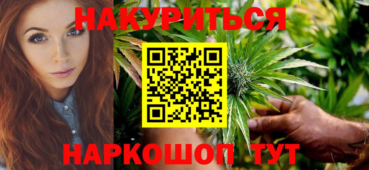 Бошки Шишки план Юрга